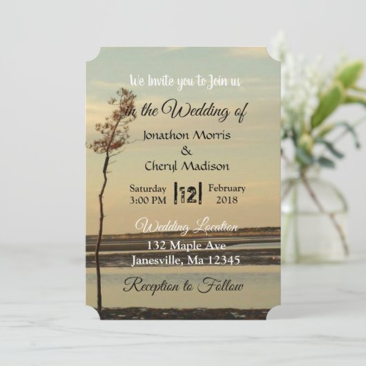 Cape Cod Lone Tree on Beach Uitnodigingen voor bru (Staand voorkant)