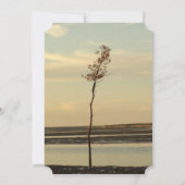 Cape Cod Lone Tree on Beach Uitnodigingen voor bru (Achterkant)