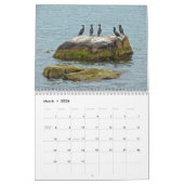 Cape Cod, MA - Falmouth & Bossen Hole - Kalender (Mar 2026)