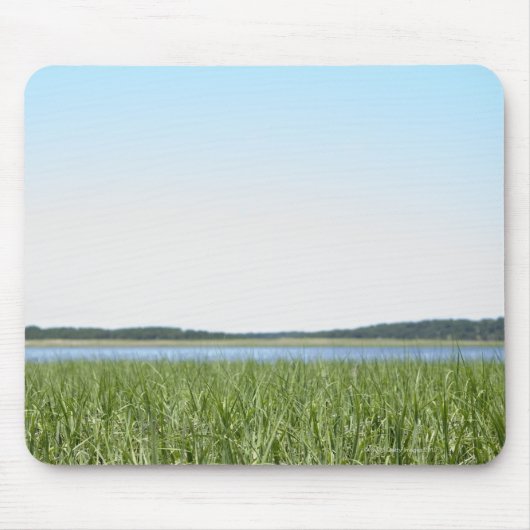 Cape Cod Marsh Muismat (Voorkant)