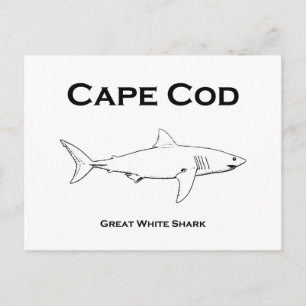 Cape Cod Massachusetts Great White Shark Logo Briefkaart