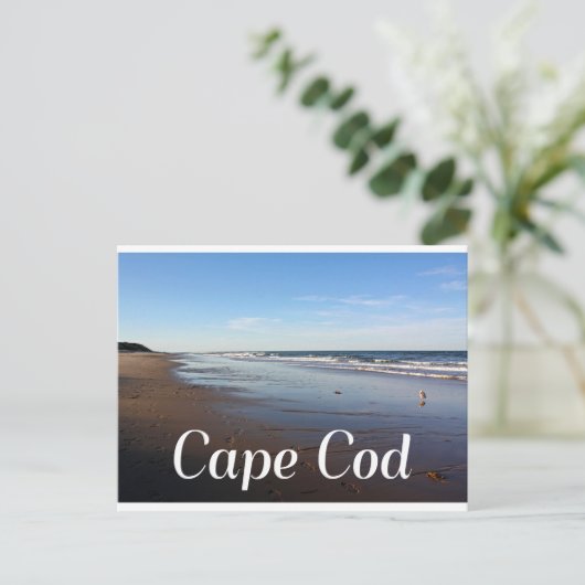 Cape Cod, Massachusetts Nauset Beach Briefkaart (Staand voorkant)