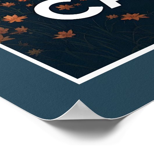 Cape Cod Massachusetts Poster (Hoek)