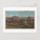 Cape Cod, MassachusettsHomes van het Zee Uitzicht Briefkaart (Voorkant)