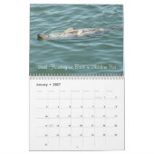 Cape Cod, massakalender Kalender (Jan 2027)