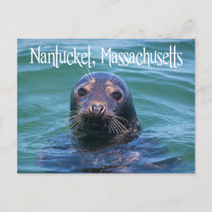 Cape Cod, Nantucket, Massachusetts Seal Briefkaart
