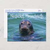 Cape Cod, Nantucket, Massachusetts Seal Briefkaart (Voorkant / Achterkant)