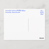 Cape Cod, Nantucket, Massachusetts Seal Briefkaart (Achterkant)