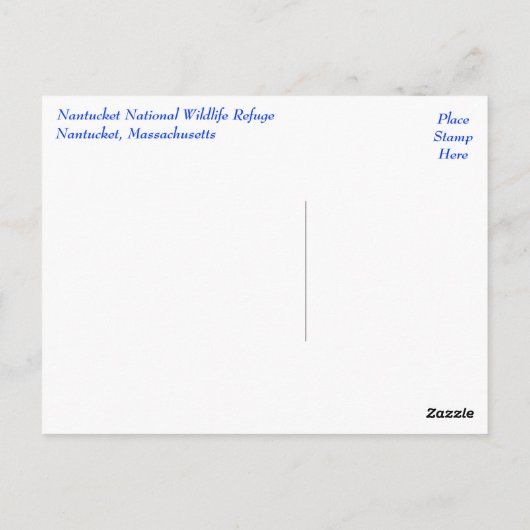 Cape Cod, Nantucket, Massachusetts Seal Briefkaart (Achterkant)