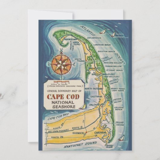 Cape Cod National Seashore 5x7 ansichtkaart Bedankkaart (Voorkant)