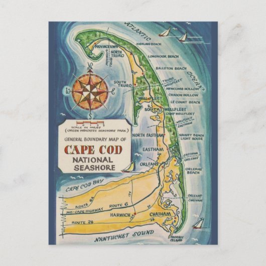 Cape Cod National Seashore Briefkaart (Voorkant)