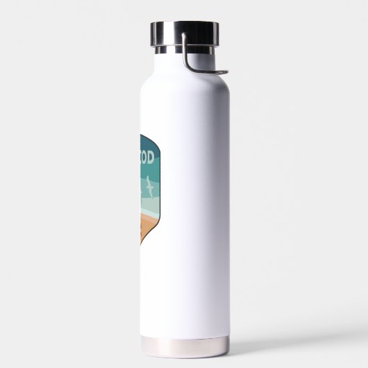 Cape Cod National Seashore Massachusetts Seagulls Waterfles (Links)