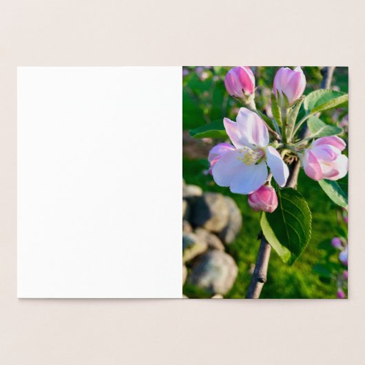 Cape Cod Ornament kerst Kaart (Binnen)