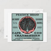 Cape Cod Peacock Brand Cranberry Label Briefkaart (Voorkant / Achterkant)