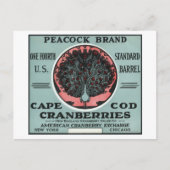 Cape Cod Peacock Brand Cranberry Label Briefkaart (Voorkant)