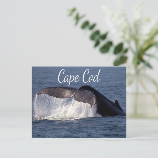 Cape Cod, Provincetown Massachusetts Briefkaart (Staand voorkant)