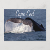 Cape Cod, Provincetown Massachusetts Briefkaart (Voorkant)