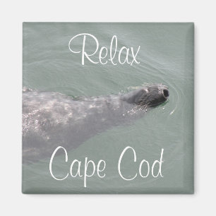 Cape Cod, Relax Zeehond Drijvende Magneet