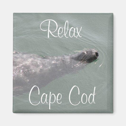Cape Cod, Relax Zeehond Drijvende Magneet (Voorkant)