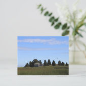 Cape Cod Salt Marsh Briefkaart (Staand voorkant)