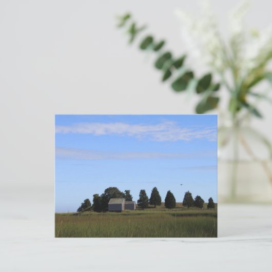 Cape Cod Salt Marsh Briefkaart (Staand voorkant)