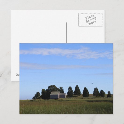 Cape Cod Salt Marsh Briefkaart (Voorkant / Achterkant)