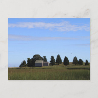 Cape Cod Salt Marsh Briefkaart