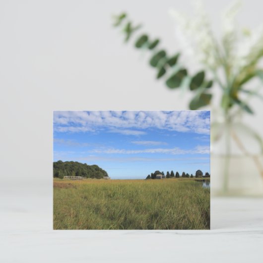 Cape Cod Salt Marsh Briefkaart (Staand voorkant)