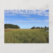 Cape Cod Salt Marsh Briefkaart (Voorkant)