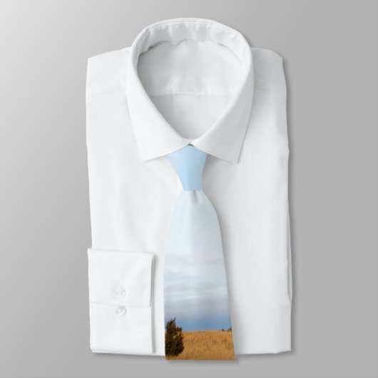 Cape Cod Salt Marsh Stropdas (Gebonden)