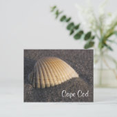 Cape Cod Seashell op de Elke Post Card Briefkaart (Staand voorkant)