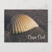 Cape Cod Seashell op de Elke Post Card Briefkaart (Voorkant)