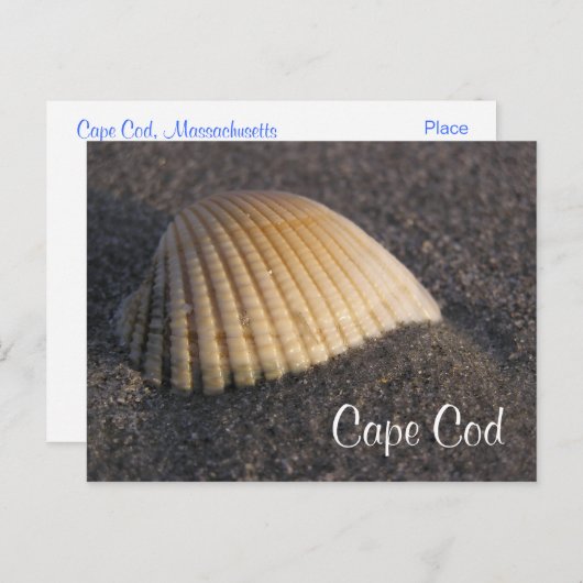 Cape Cod Seashell op de Elke Post Card Briefkaart (Voorkant / Achterkant)