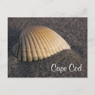 Cape Cod Seashell op de Elke Post Card Briefkaart