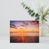 Cape Cod Strand Zonsondergang Foto Briefkaart (Staand voorkant)