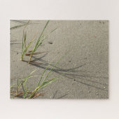 Cape Cod Zandstrand Puzzel (Horizontaal)