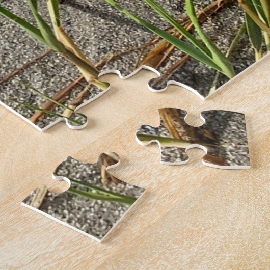 Cape Cod Zandstrand Puzzel (Zijkant)