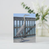 Cape Coral Florida briefkaart (Staand voorkant)