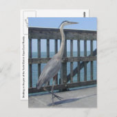 Cape Coral Florida briefkaart (Voorkant / Achterkant)