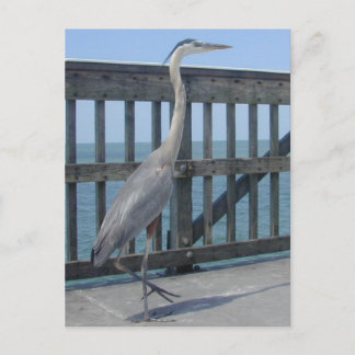 Cape Coral Florida briefkaart