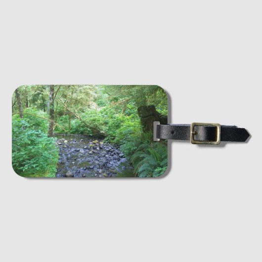 Cape Creek, Cape Perpetua, Oregon Bagagelabel (Voorkant (horizontaal))