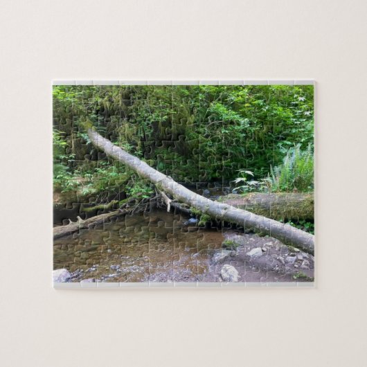 Cape Creek, Cape Perpetua, Oregon Legpuzzel (Horizontaal)