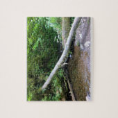 Cape Creek, Cape Perpetua, Oregon Legpuzzel (Verticaal)