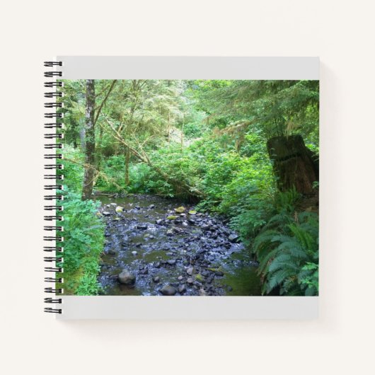 Cape Creek, Cape Perpetua, Oregon Notitieboek (Voorkant)