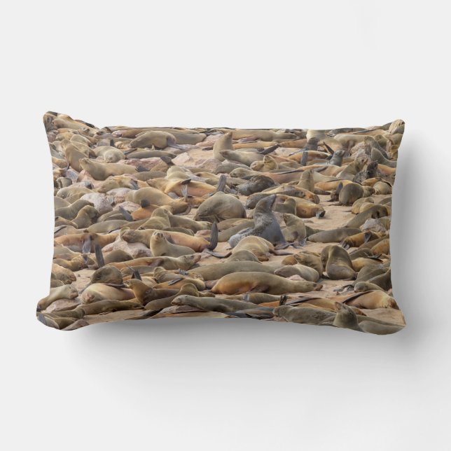 Cape Cross Seal Reserve Kussen (Voorkant)