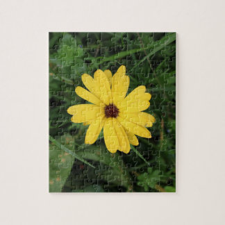 Cape Daisy (gele bloem) Legpuzzel