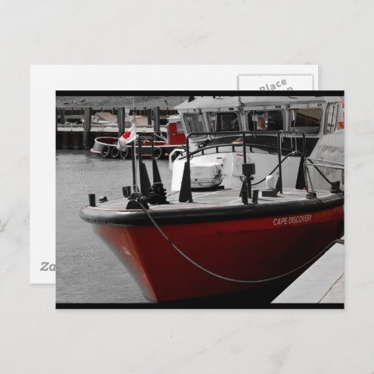 Cape Discovery Briefkaart (Voorkant / Achterkant)