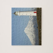 Cape Egmont-vuurtoren en Mt Taranaki / Mt Legpuzzel (Verticaal)