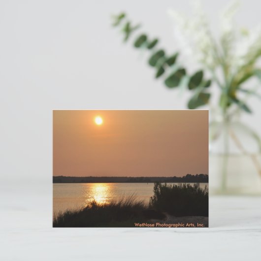 Cape Fear River Briefkaart (Staand voorkant)