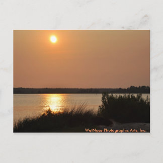 Cape Fear River Briefkaart